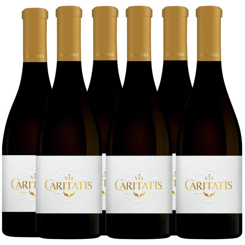 Vin rouge « Abbayes » (Via Caritatis) 2020 – Abbaye Sainte-Madeleine du Barroux – x6