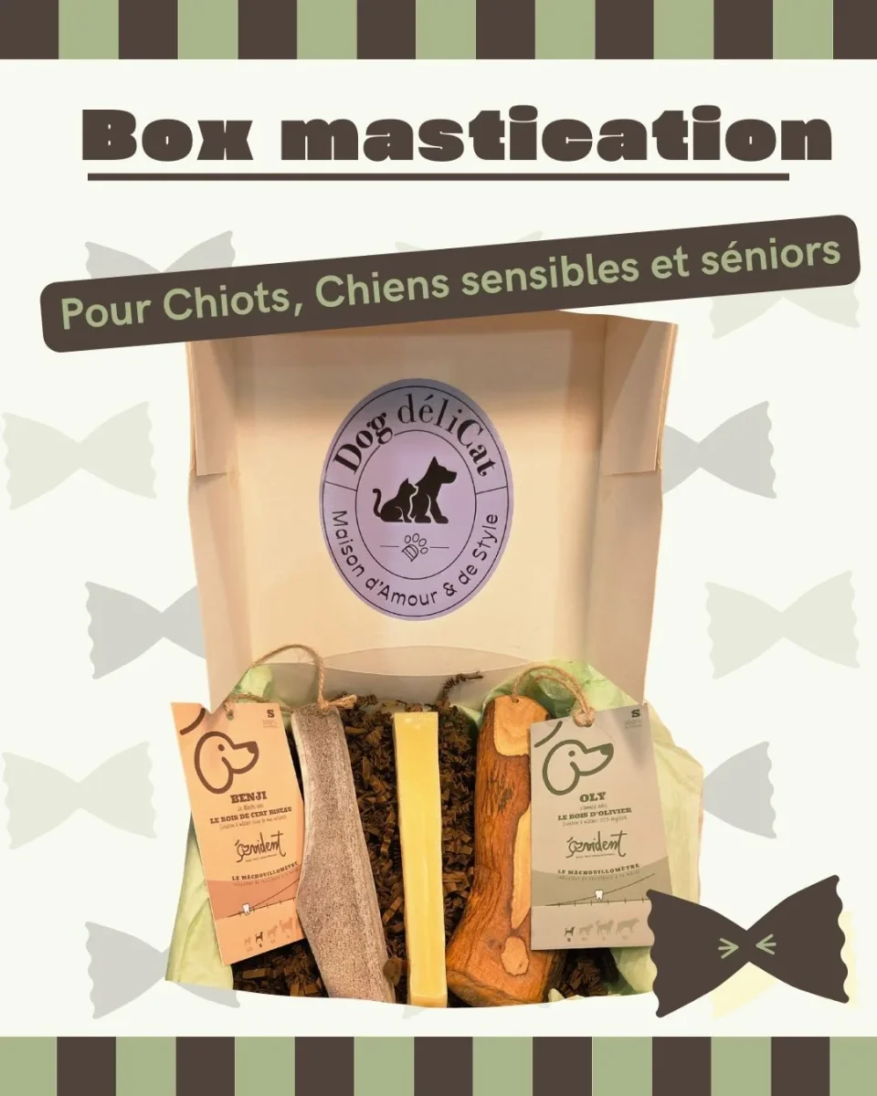 Box mastication douce – chiots, seniors & chiens sensibles – Image 2