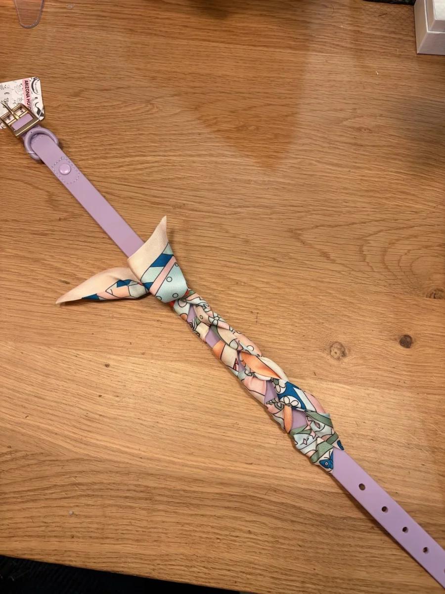 Foulard à nouer pour collier chien – Touche chic & unique – Image 3