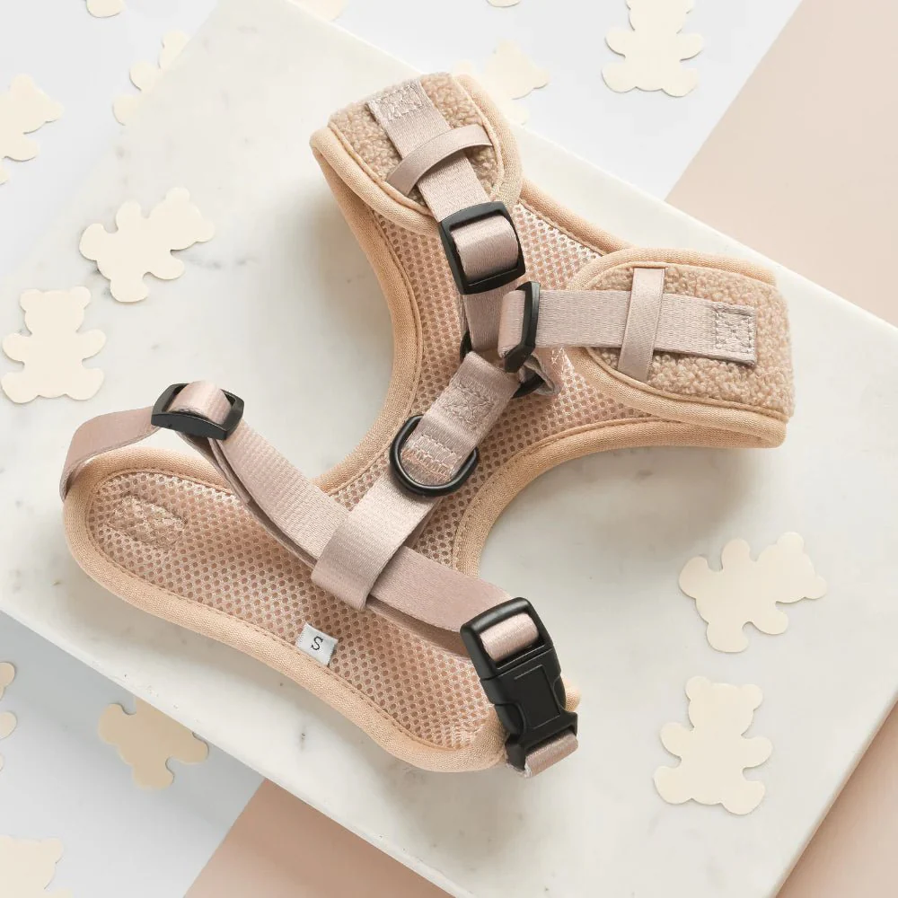 Harnais chien Teddy Rupert en H – doux, cosy & ajustable – Image 3