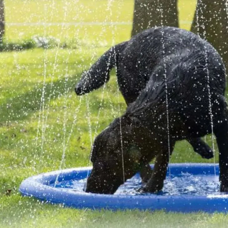 Jeu de jet d’eau rafraîchissant pour chien – Fun Splash – Image 3