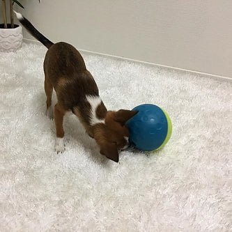Jeu d’occupation pour chien – Treat Tumble balle petit format – Image 3