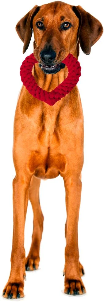 ❤️ Jouet en corde pour chien Cœur Rouge – Image 3