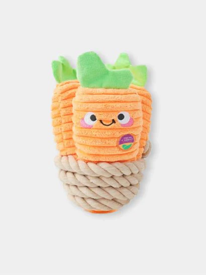 Jouet en peluche pour chien avec corde - Carotte 🥕