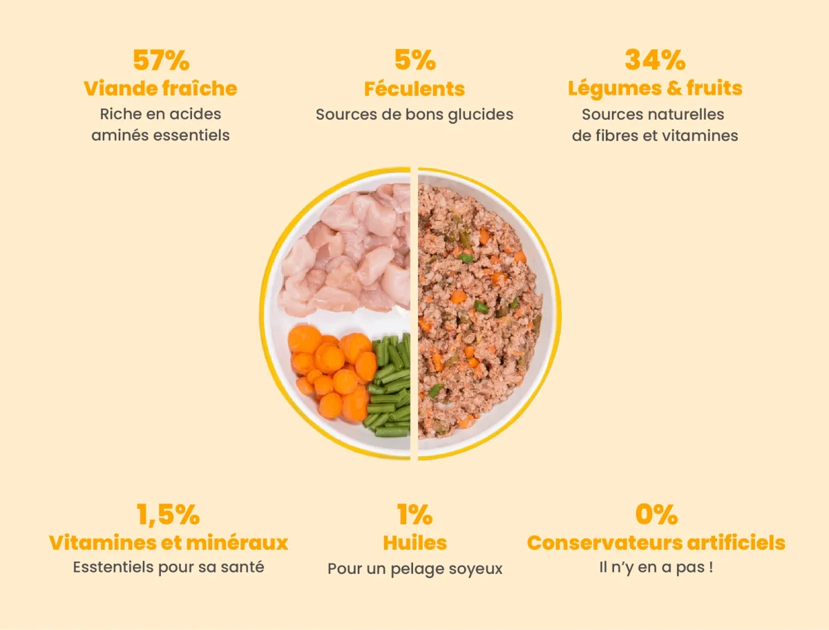 Recette Fraîche au Poulet pour Chiens sensibles - DOG CHEF – Image 4