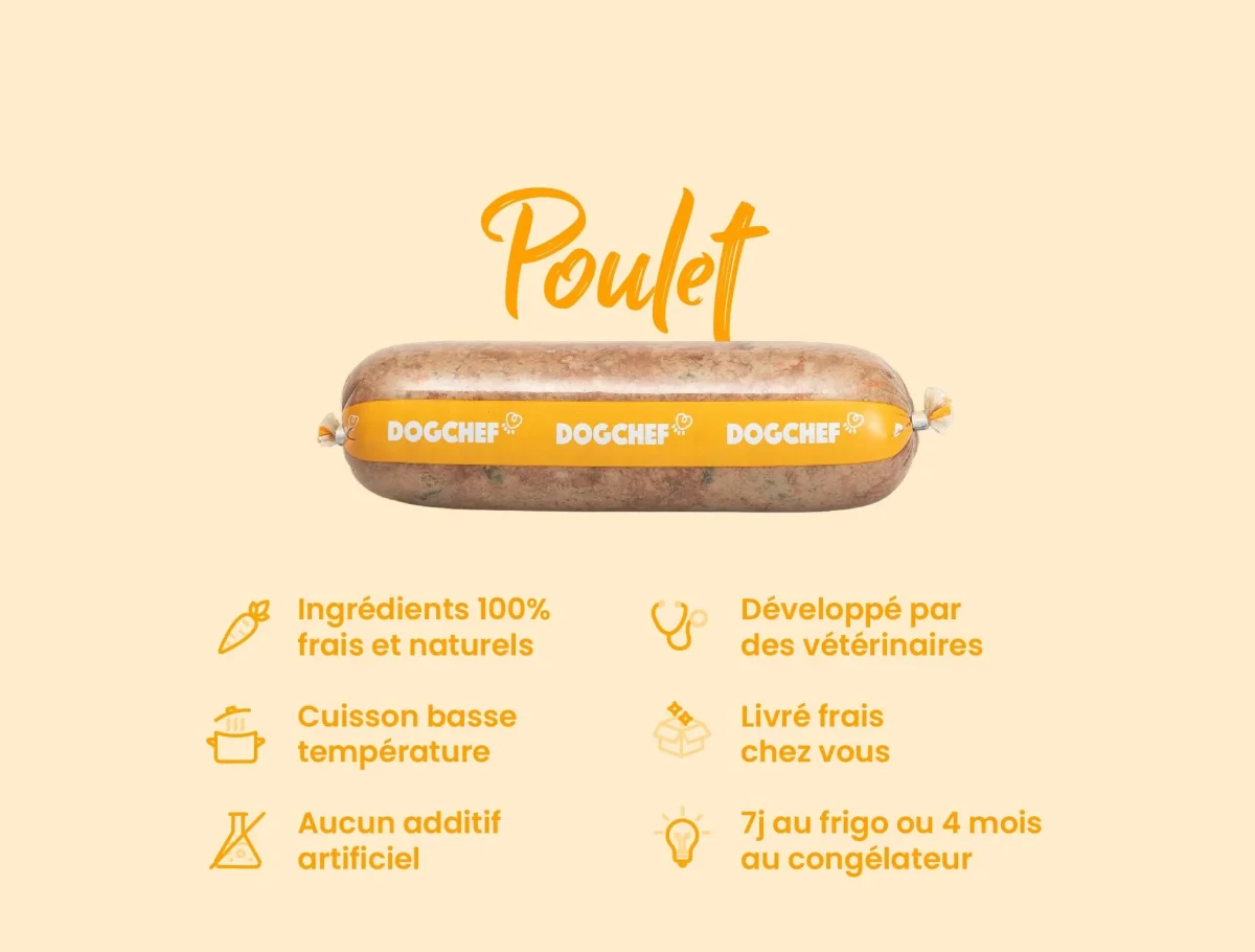 Recette Fraîche au Poulet pour Chiens sensibles - DOG CHEF – Image 5