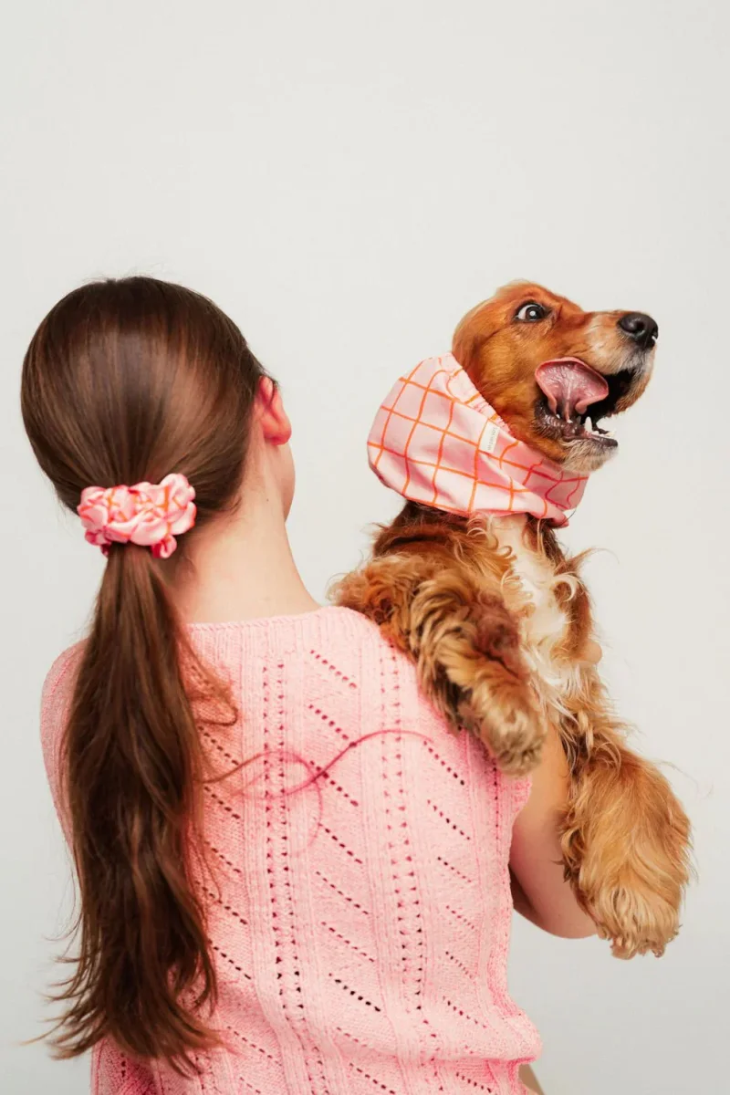 Snood pour chien Summer Lines – Rose & orange – Lou & Co. – Image 3